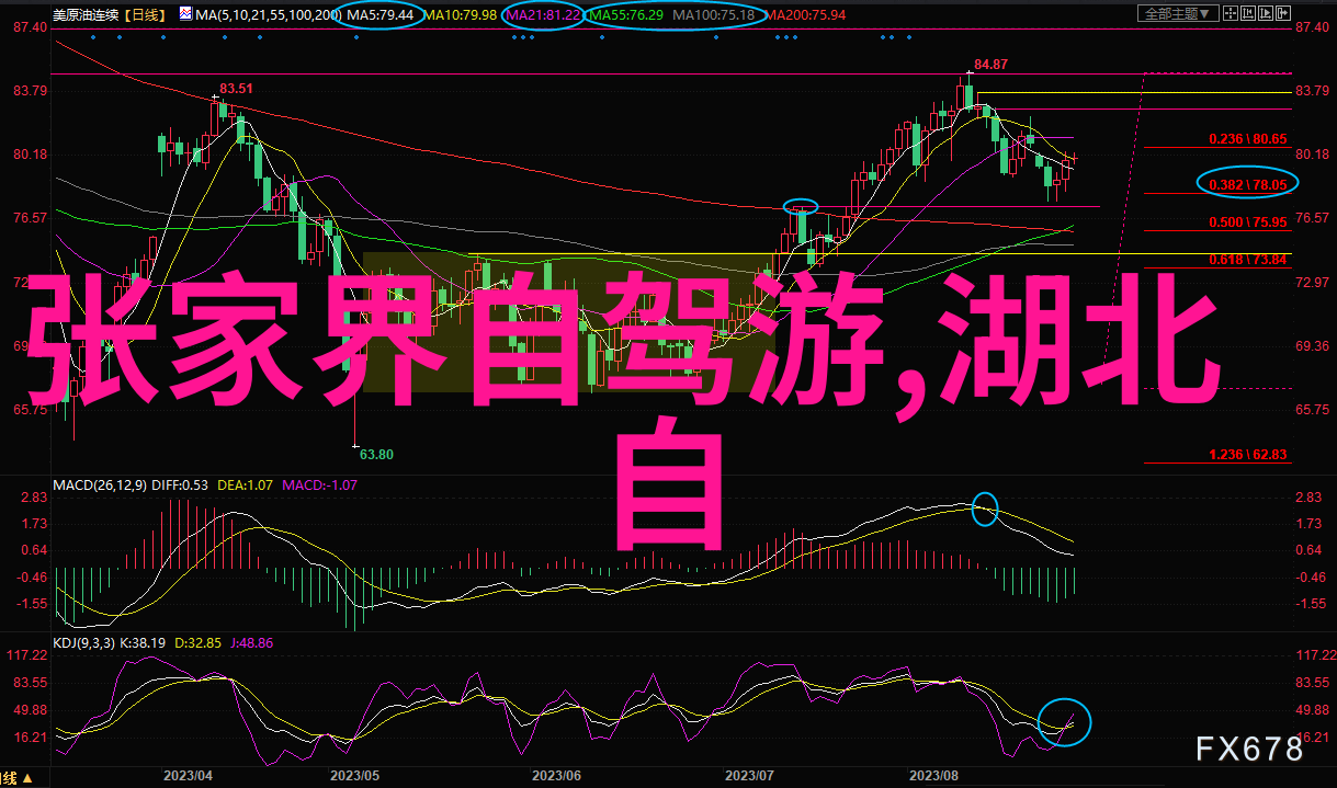 如何看待骑行群的存在与管理