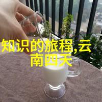 户外活动方案的制定策略与实践