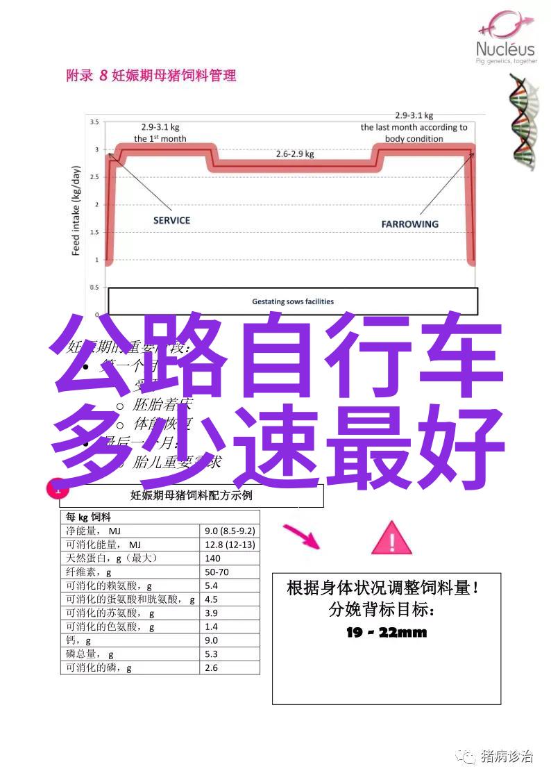 贵州自驾游-探索风情古韵贵州深度自驾旅行指南