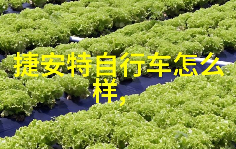 企业活动方案100例冬季登山的智者你应该铭记这些常识