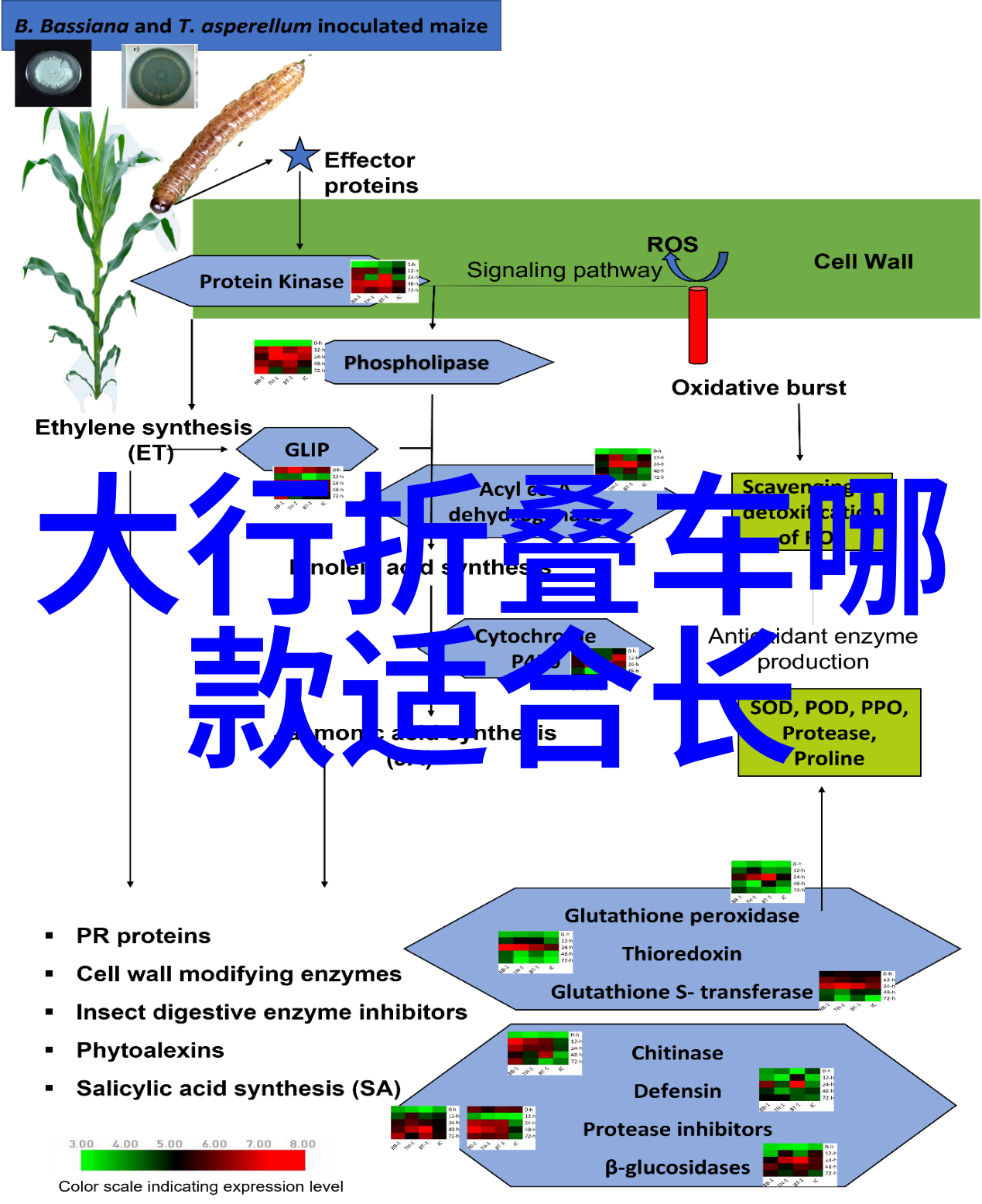 普通人一天能骑行200公里探索极限与可能的挑战