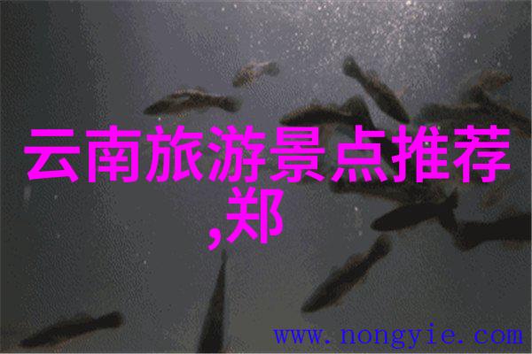 厦门古迹探秘历史文化深度游记