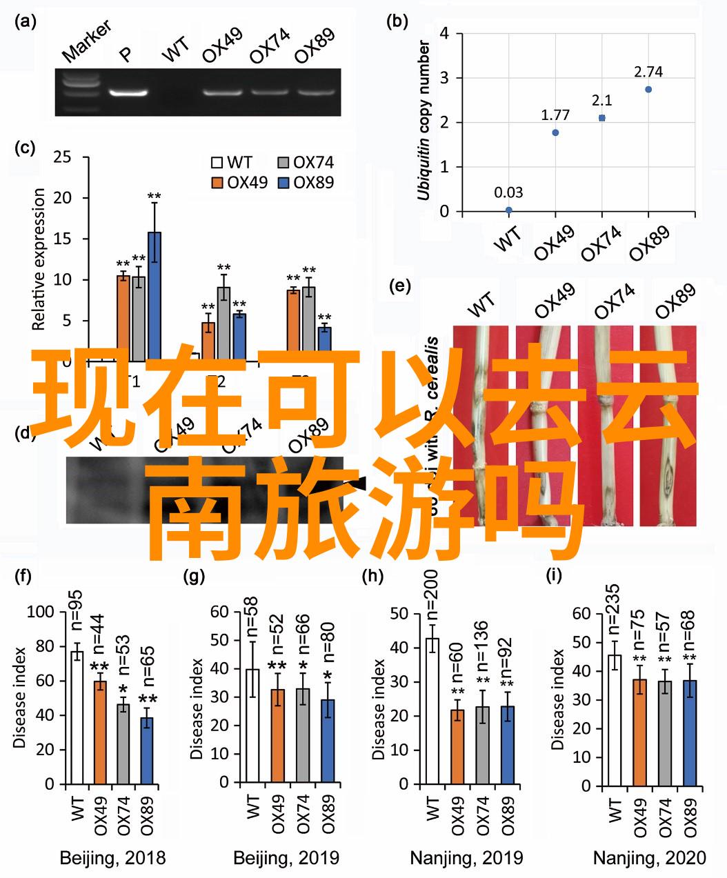 西安周边游玩宝地方泽坛之美在此等你来发现