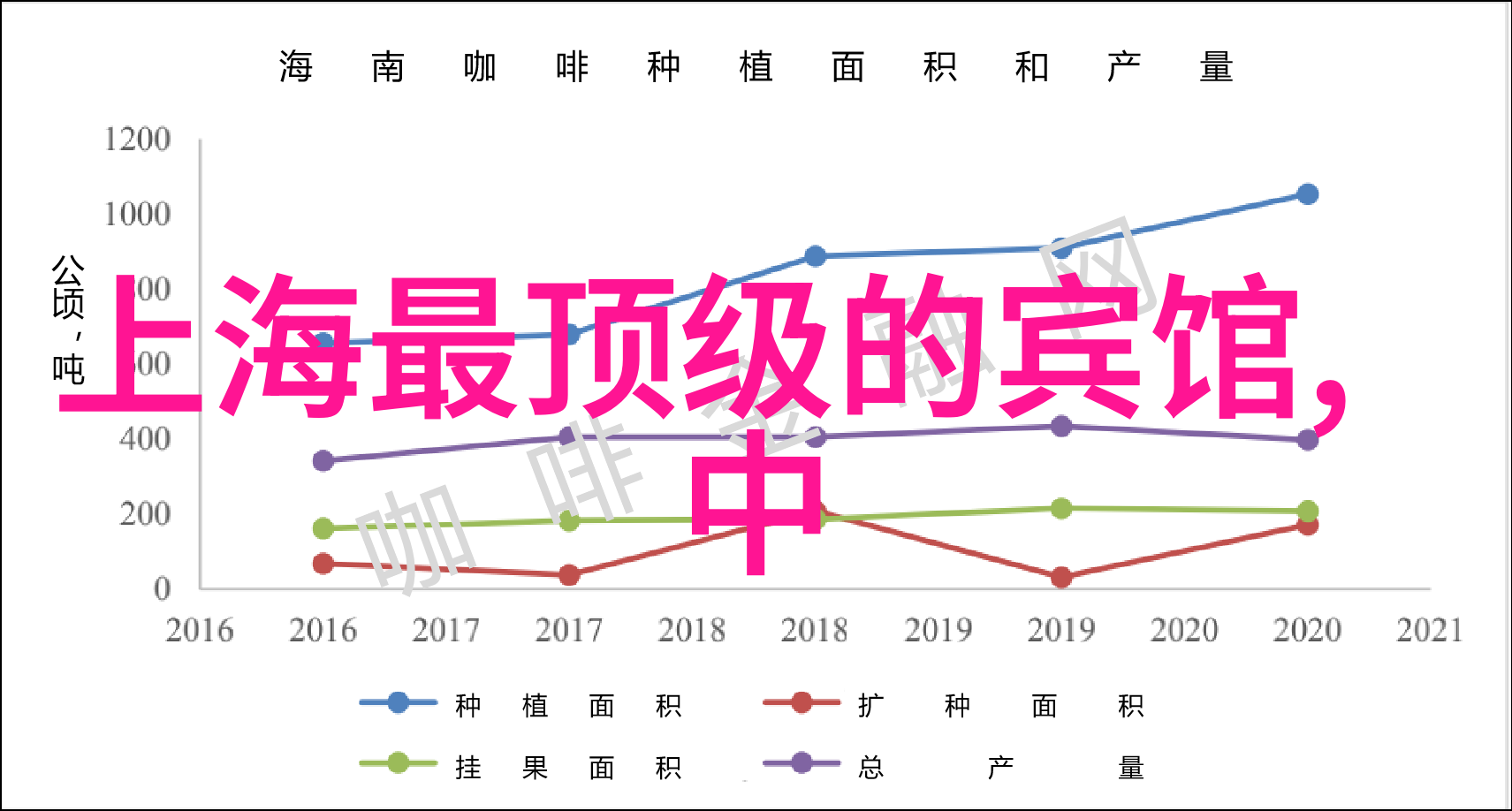 上海旅游攻略我在上海玩的那些有趣地方