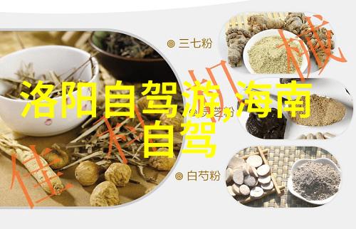 扬州美食与古韵相伴探索江南水乡的自驾游住宿指南