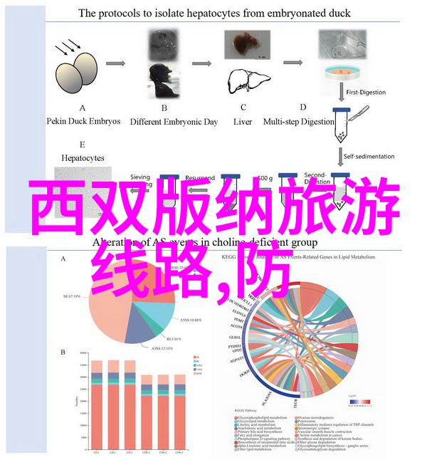 暮光之城4破晓小说-黎明前的永恒探索贝拉与伊迪丝的新篇章