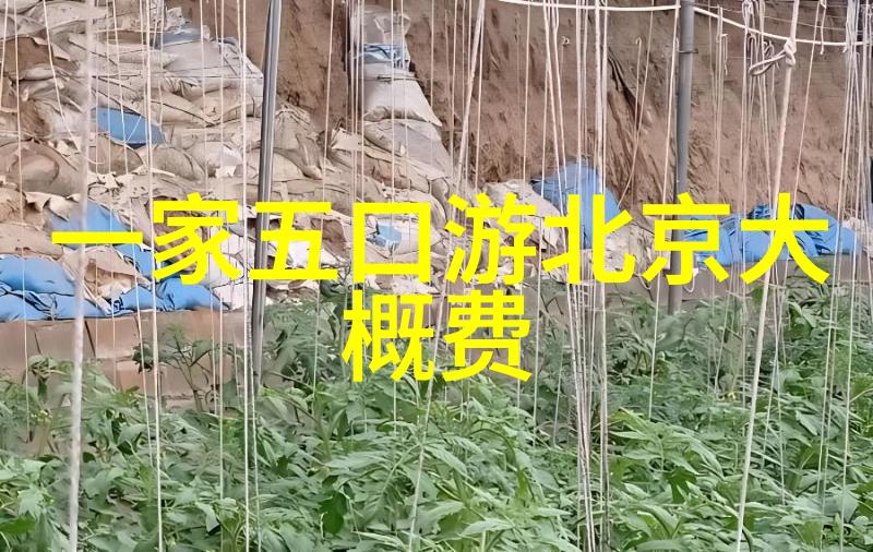 岛屿风情海南自驾游的绚烂篇章