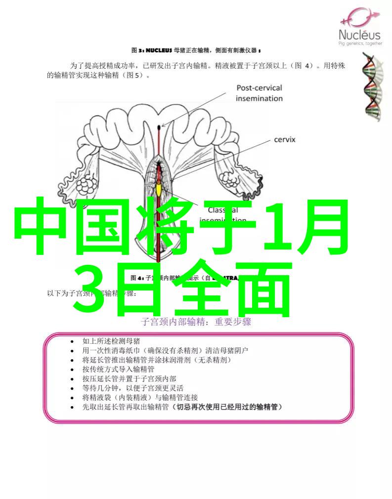 中国最大的自行车骑行论坛-风驰电掣探索中国最大自行车骑行论坛的精彩世界