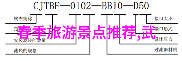 阳光与奇迹探索澳洲的神秘角落