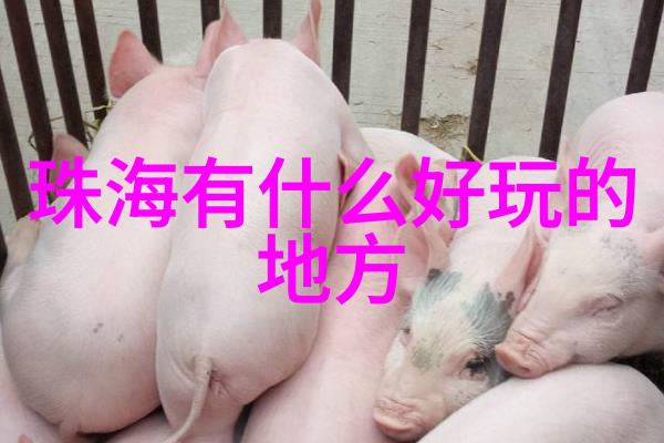 中央电视台有哪些美食节目探寻中国四大小吃街在社会的热门之处