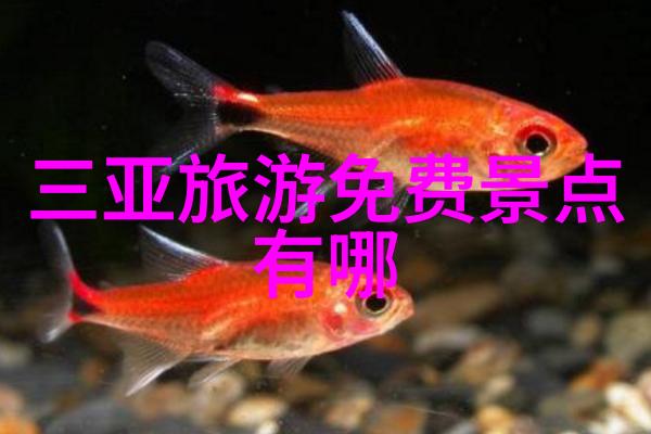 青岛自驾游我的青岛小憩一场轻松自驾的海边探险