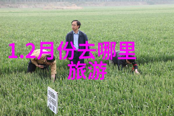 大峡谷中的文化遗产探究古老民族留下的痕迹是什么样子的