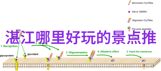 张家界之冠自由行攻略指南