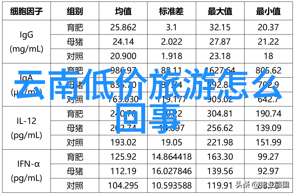 北京牛街的味道合肥人也能品尝到吗