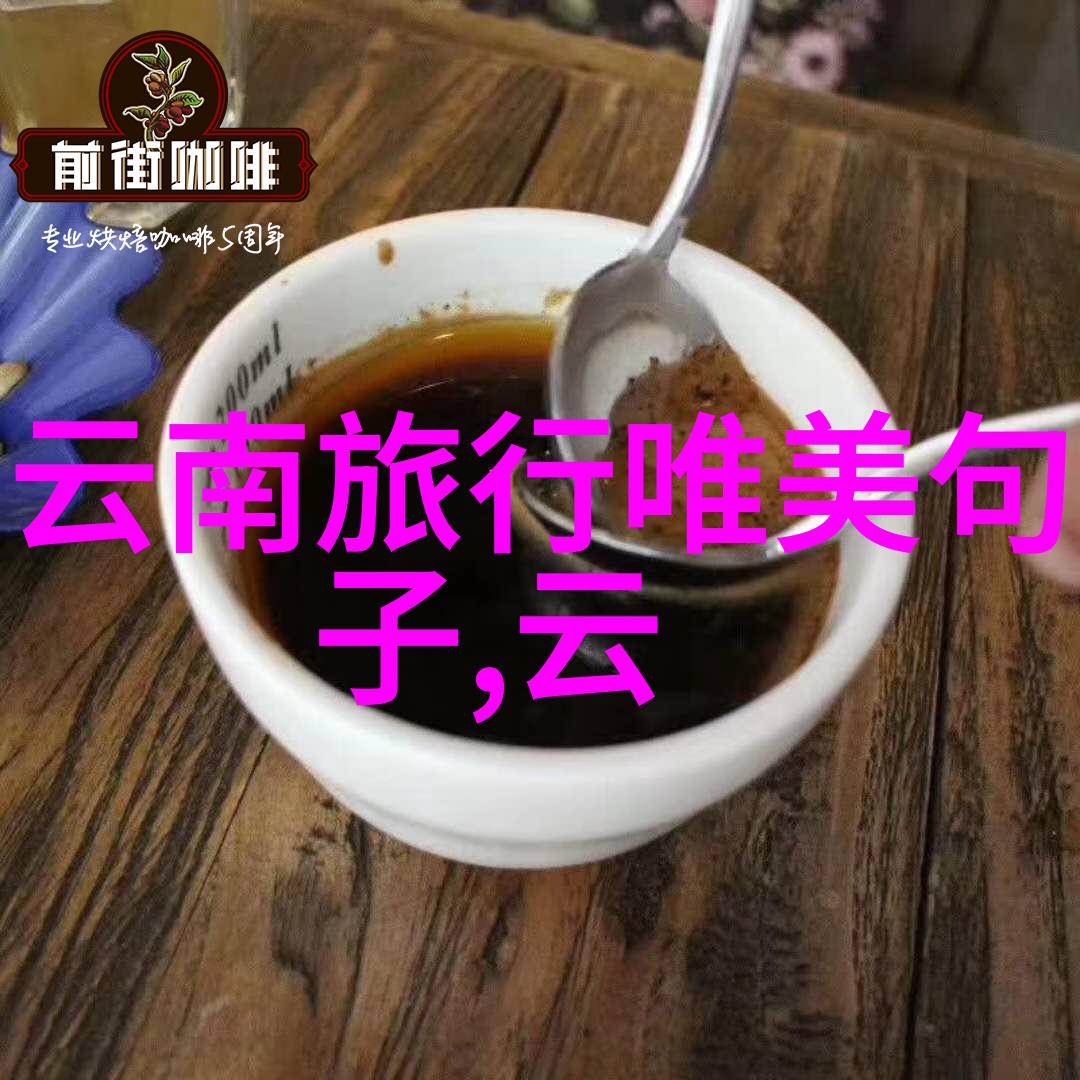 自驾游应用排行榜探索前十名的旅行秘密武器