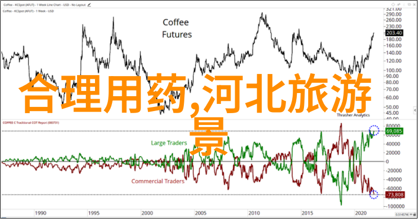 寻宝启程解开学校后院的秘密代码