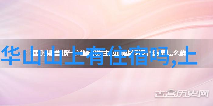 南京路美食探秘揭秘那些让你笑中有泪的味蕾小确幸