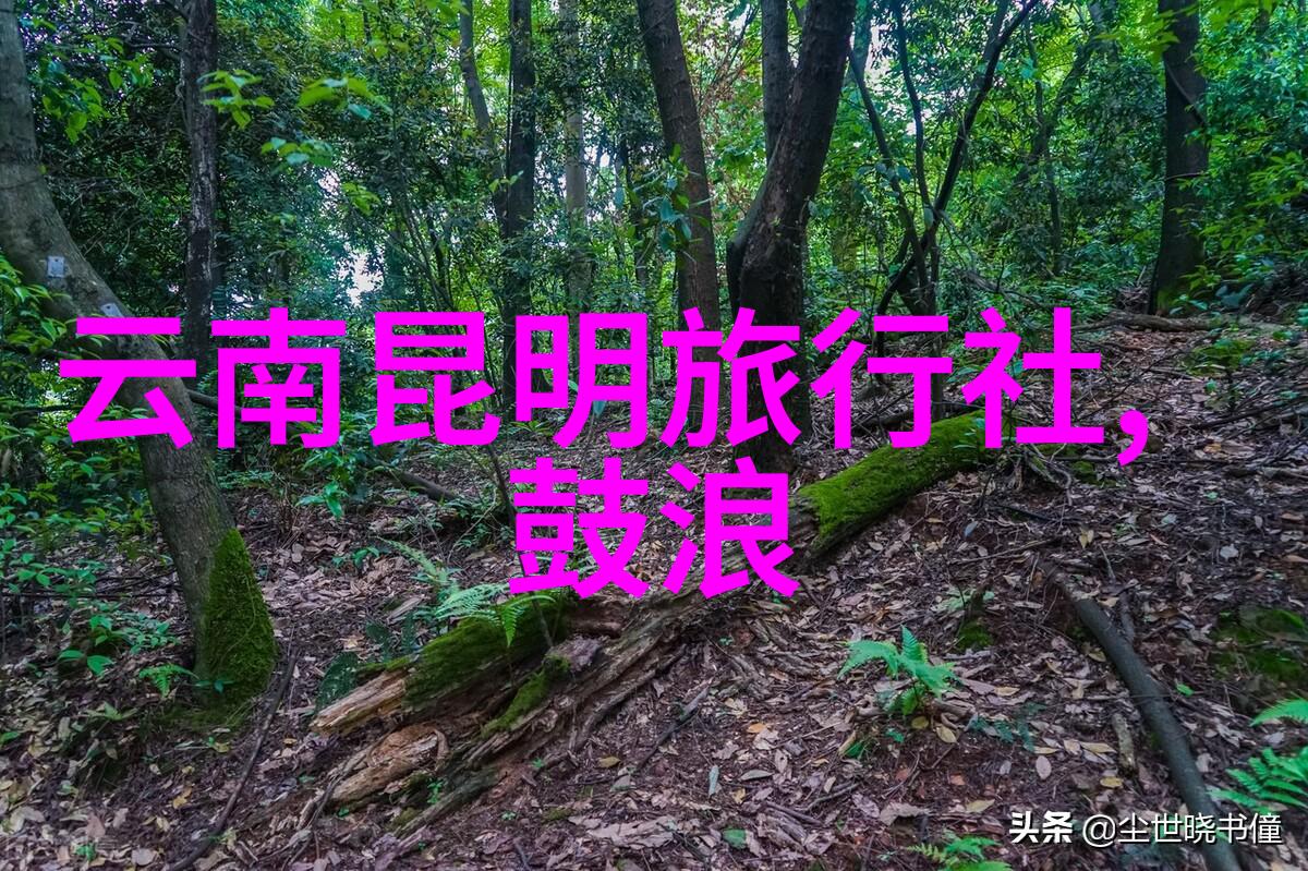 西北自驾游探秘西北地区的美丽风景和文化