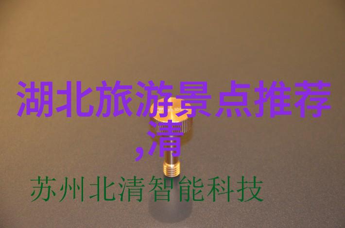 小李与艾薇·拉维共舞