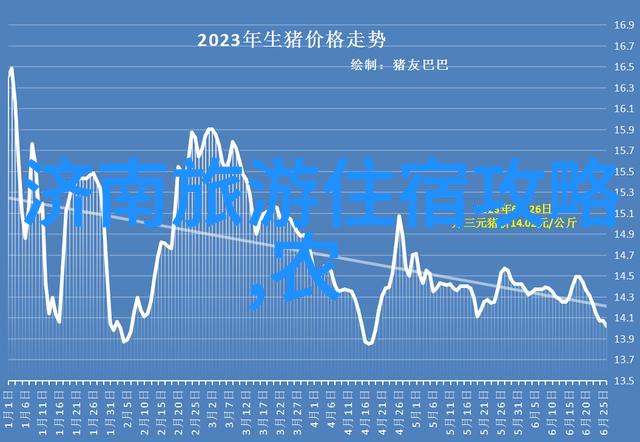 一碗肉夹馍一段情感揭秘这道经典川陕菜肴制作技巧