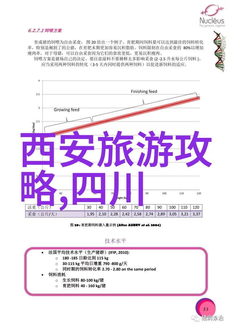 中国美丽旅行网探索文化深度体验自然奇迹