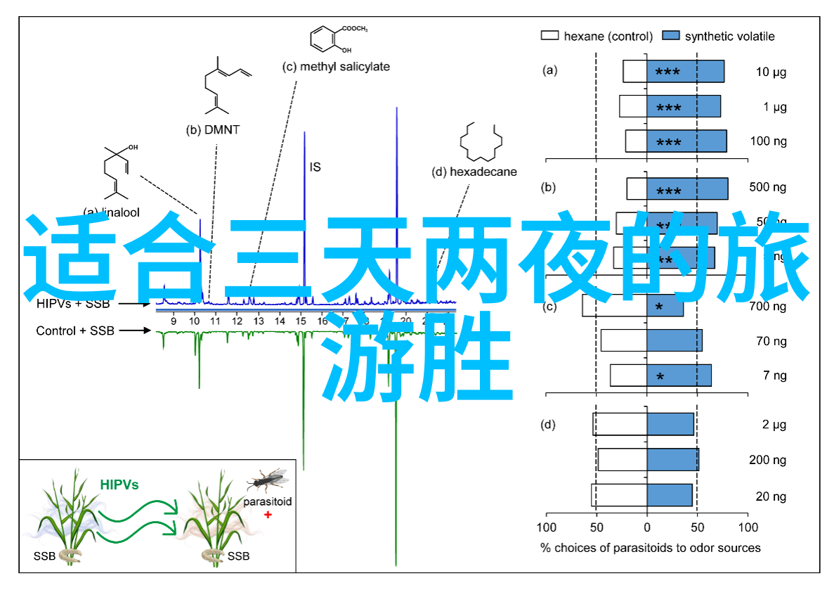 8月份旅游最佳地方我要带你去暑期大热天不用担心的地方