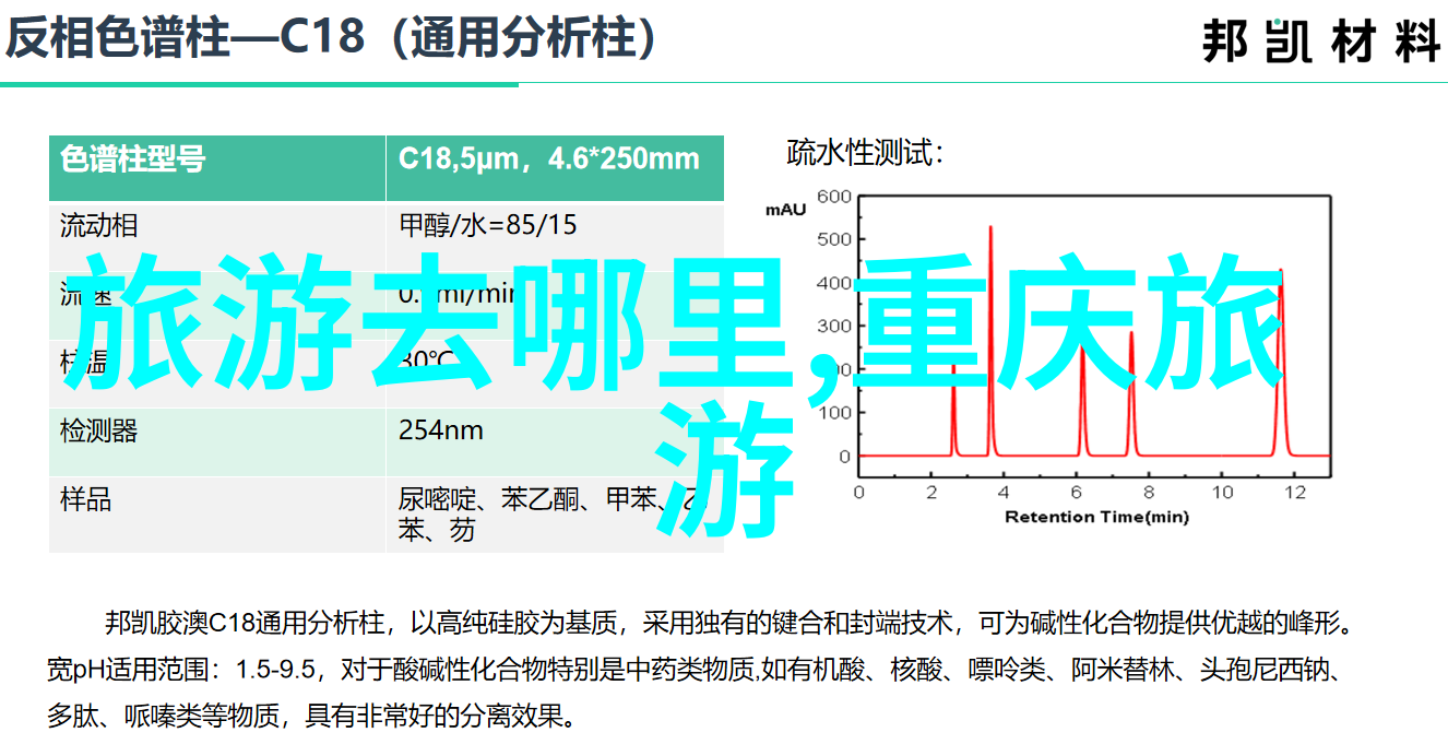 回响中的梦想青春环游记第三季的旅程重启