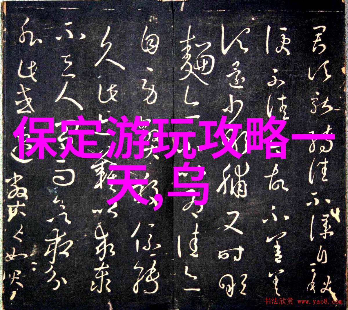 如何评估和反馈一个成功的大型团建活动以便为未来的项目提供参考