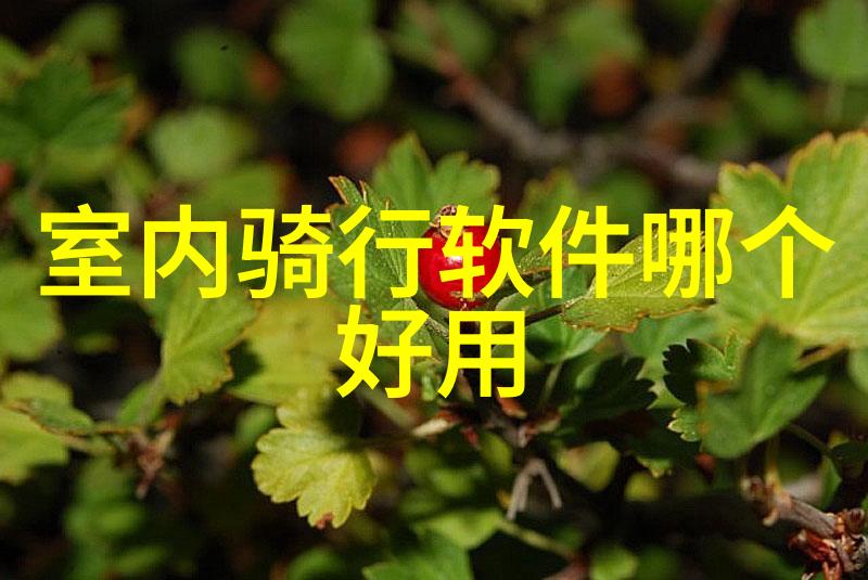 拍手节奏如何成为连接不同文化与年龄群体的桥梁