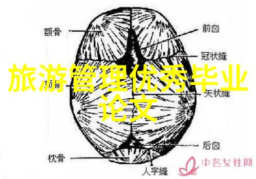 西域奇遇新疆旅游的绝佳指南