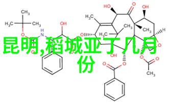 探秘中国寻宝奇遇之旅