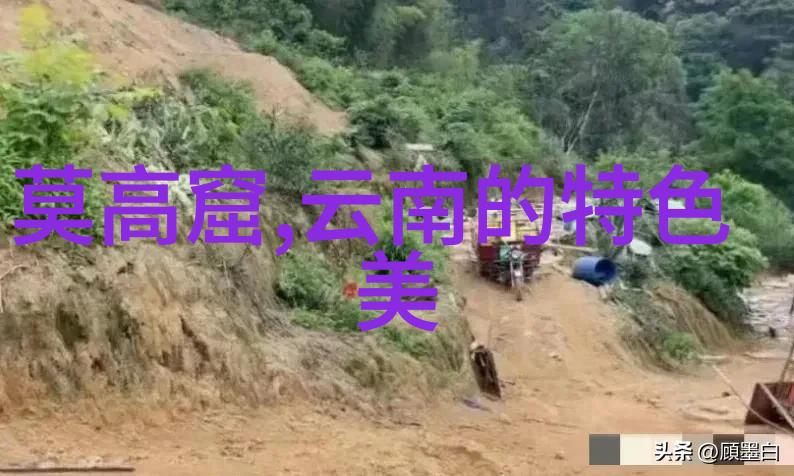 中国旅游报社揭秘九峰山的神秘之谜