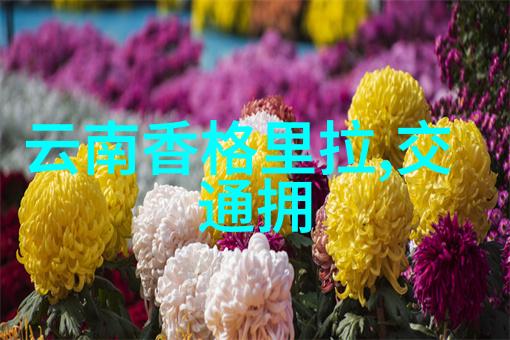 碧波荡漾游览白下公园的乐趣