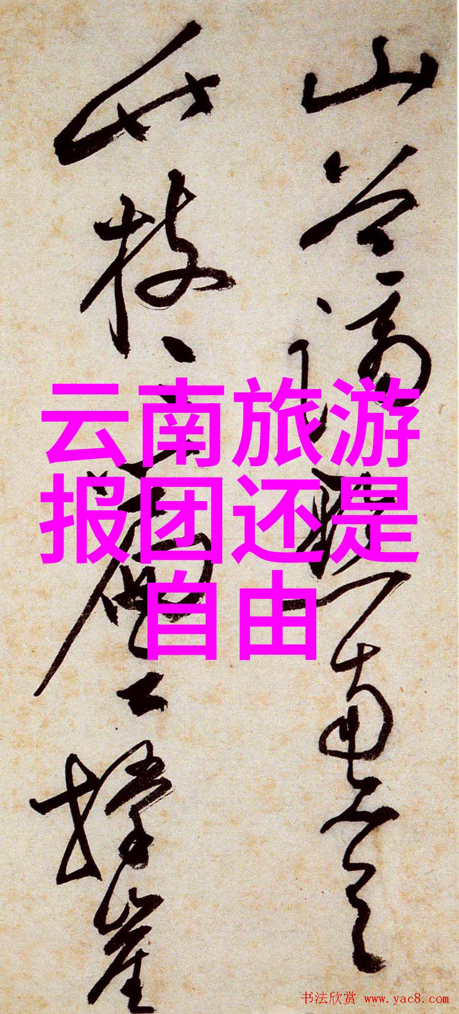 小班户外活动教案100个亲子探索带孩子们去野外玩耍的100个精彩活动