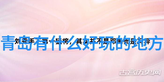 从封锁到开放全球各地在2021年的出国政策变化概述