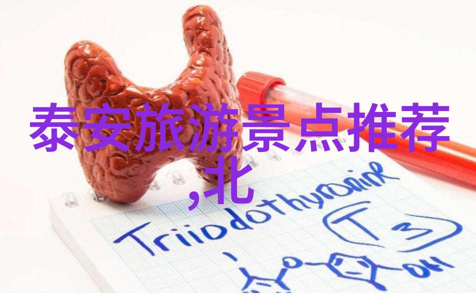 探索九华山生态度假村的魅力