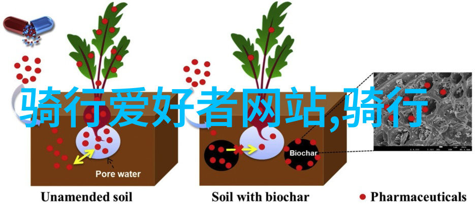 无论你是新手还是老手这些软体都值得一试