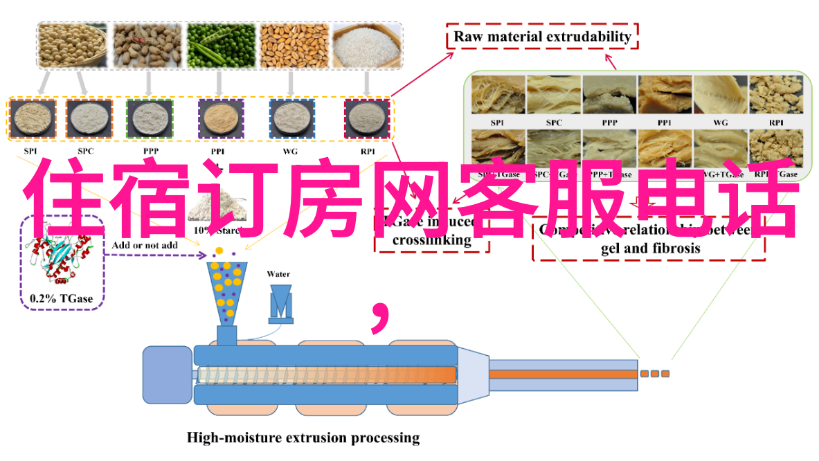 户外探险游戏大全野外生存地图阅读自然观察