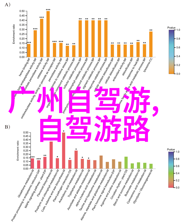 探索衡山之美一本不可多得的旅游攻略