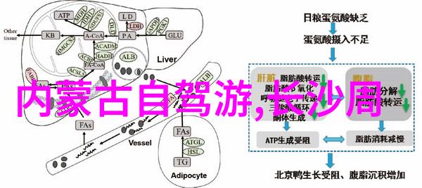 一家三口亲子游戏100例咱们一起搞定