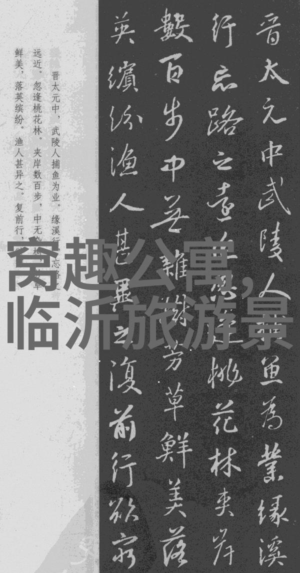 大班户外活动观察记录表探究儿童自然环境认知与社交技能发展