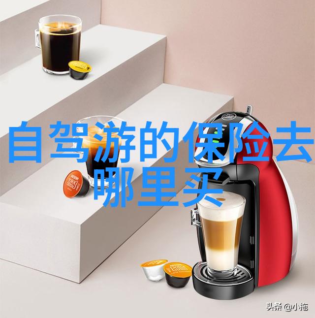 绿色健康餐桌探索九江素食界的创新趋势