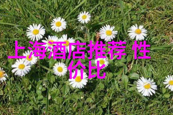 骑上梦想攀登自行车节的高峰2016自行车登山王挑战队员招募中