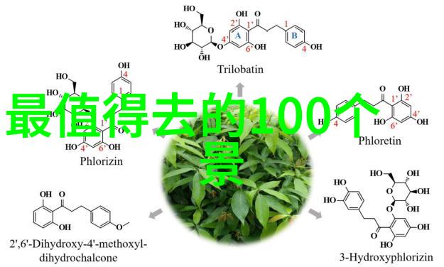 大柳树林下寻找丽江传统手工艺品的最佳地点