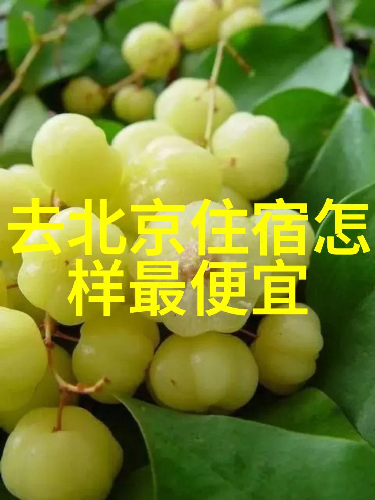 小红书美食我的超级美味攻略