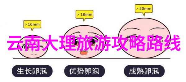 重庆景点我在重庆的那些惊叹之旅从嘉陵江畔到天府之国的奇妙探秘