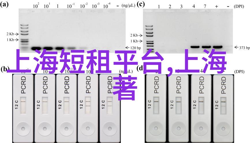 金色周末与亲朋好友共度精彩时光-团体 老年旅游安排方案