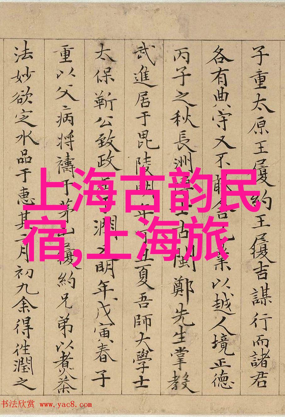 美食纪录片的香气像一位亲切的旅行家带领我们去杭州探寻那些好看又美味的小吃