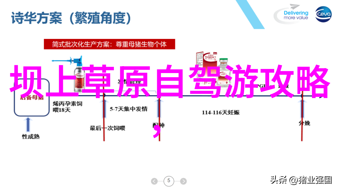 中国美食盛宴揭秘最受欢迎的街头小吃