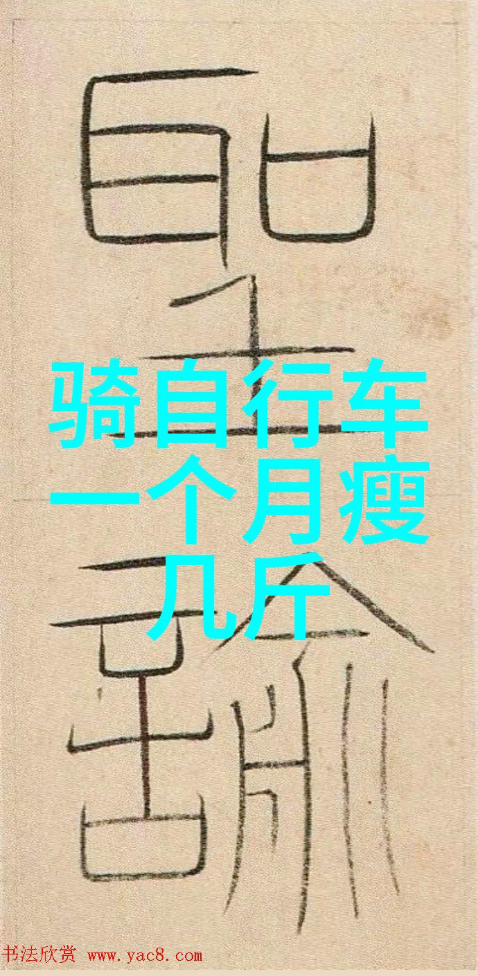 骑行速度挑战一小时内达成20公里的极速体验高效骑行技巧与心率管理